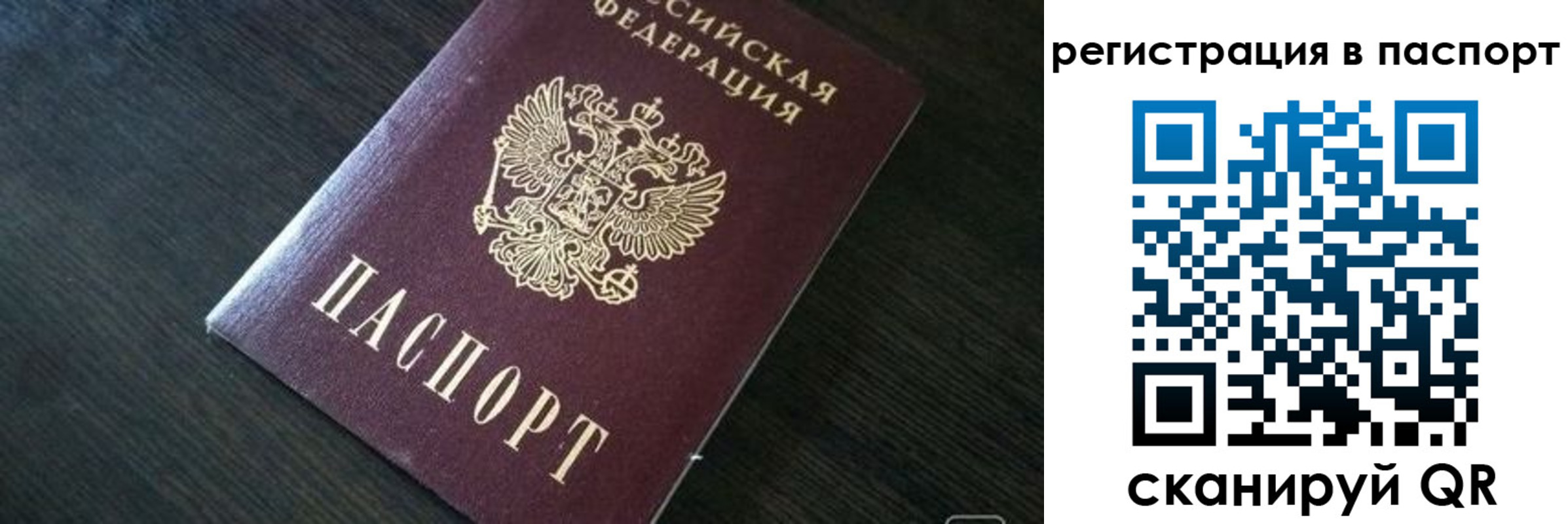 прописка в квартире в Камешково
